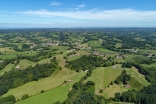 dji-0040.jpg
